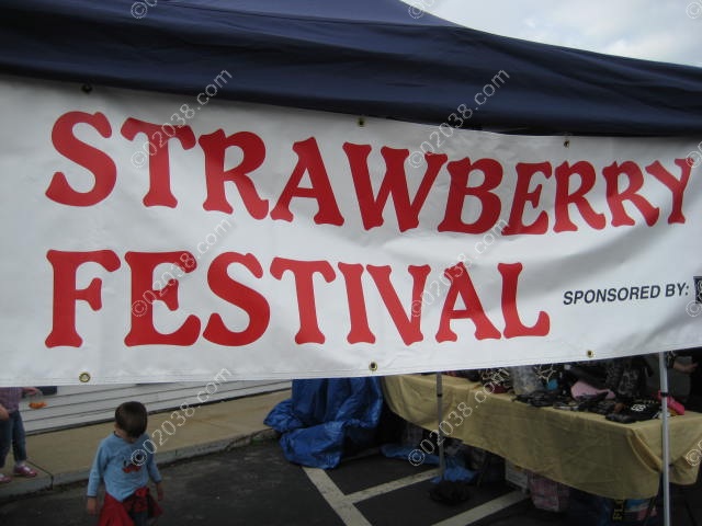 strawberry-festival-2009-franklin-ma1