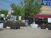franklin-ma-beautification-9.jpg