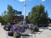 franklin-ma-town-center.jpg