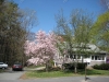 franklin-ma-spring16.jpg