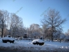 franklin-ma-winter-11.jpg
