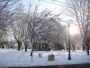 franklin-ma-winter-13.jpg