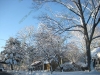 franklin-ma-winter-14.jpg