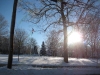 franklin-ma-winter-15.jpg