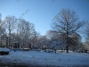 franklin-ma-winter-16.jpg