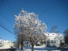 franklin-ma-winter-25.jpg