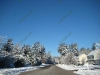 franklin-ma-winter-28.jpg