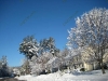 franklin-ma-winter-29.jpg
