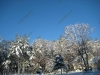 franklin-ma-winter-30.jpg
