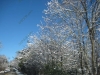 franklin-ma-winter-33.jpg