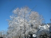 franklin-ma-winter-34.jpg