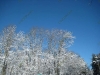 franklin-ma-winter-35.jpg