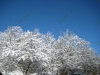 franklin-ma-winter-36.jpg