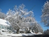 franklin-ma-winter-37.jpg