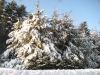 franklin-ma-winter-40.jpg