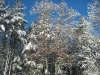 franklin-ma-winter-41.jpg