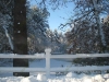 franklin-ma-winter-42.jpg
