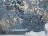 franklin-ma-winter-43.jpg