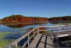 Stony Brook Norfolk MA