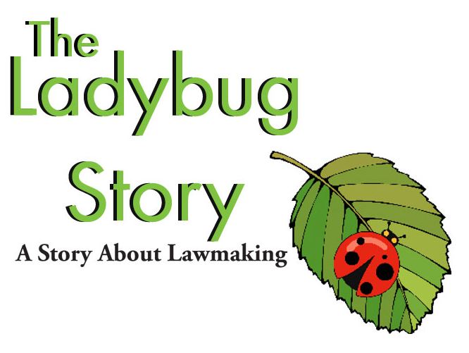 The Lady Bug Story