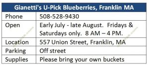 Blueberry-Franklin-MA-Gianettis-U-Pick-info