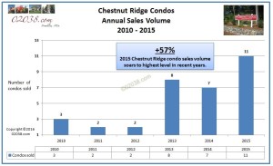 Chestnut Ridge Franklin MA condo sales 2015