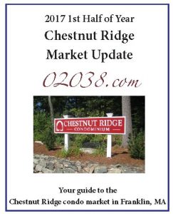 Chestnut Ridge Condos sales report 2017