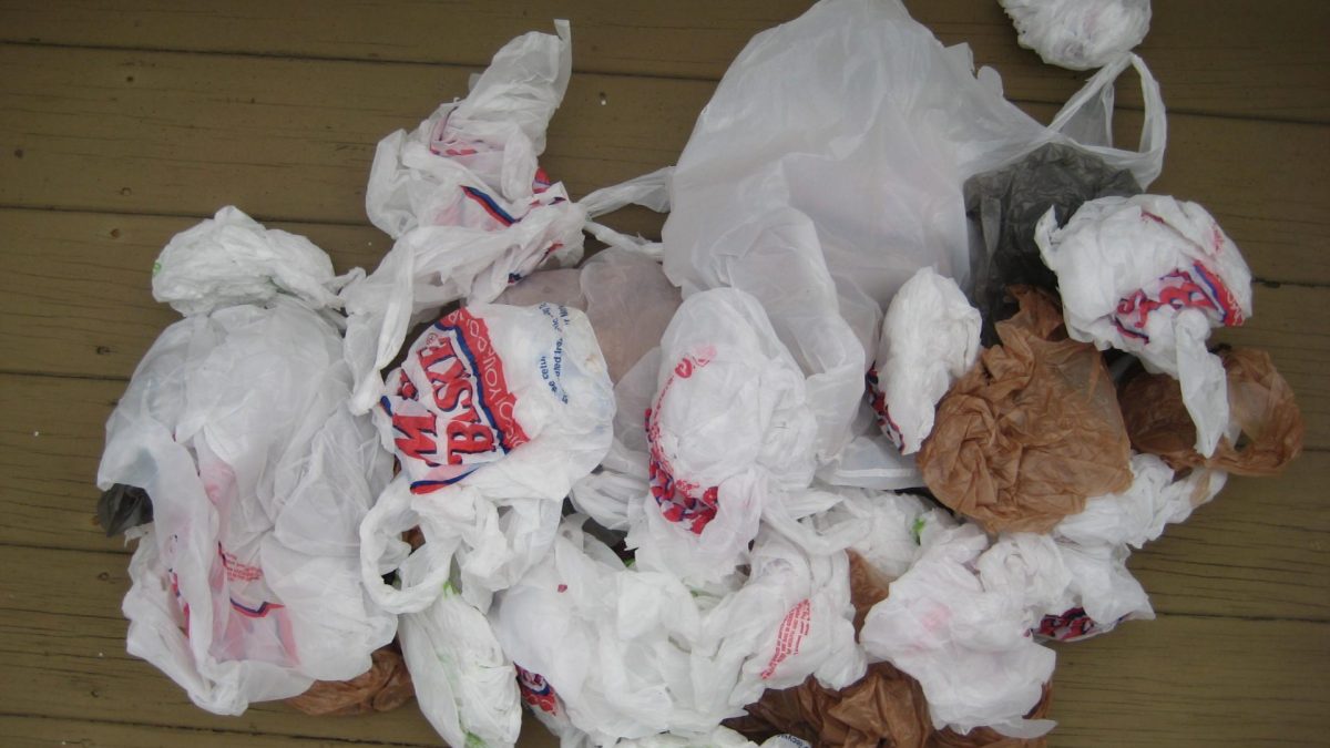franklin ma bans plastic carry-out bags